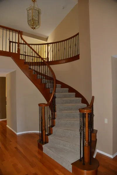 DSC_7339 (Large).JPG